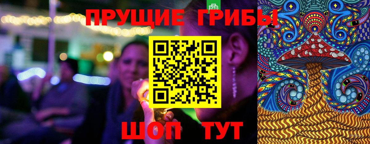 Псилоцибиновые грибы ЛСД  Вход с VPN  Северобайкальск  Псилоцибиновые грибы Psilocybe 